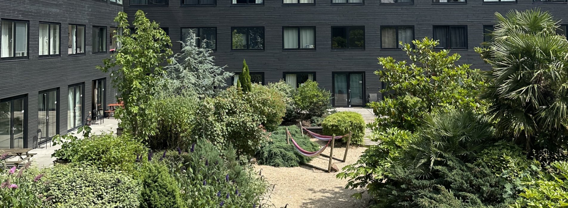 Zaadjes van verandering planten bij Amsterdam Zuidas.