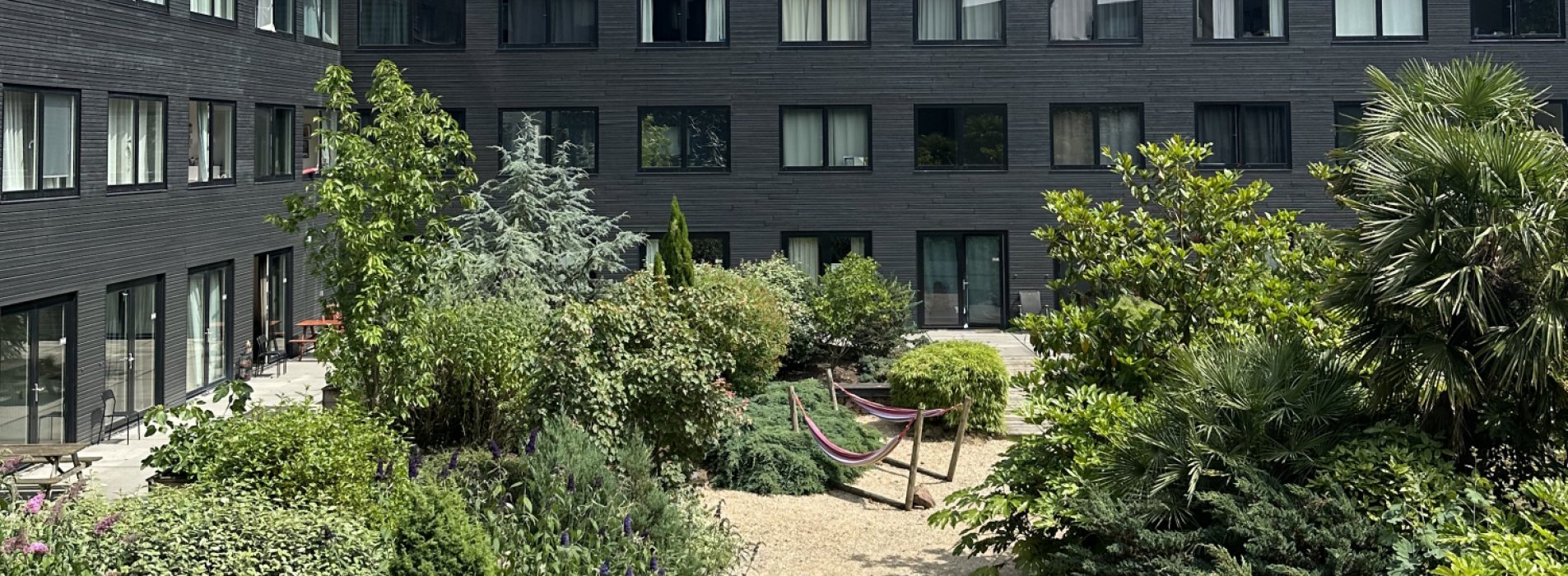 Planting seeds of change at Amsterdam Zuidas.