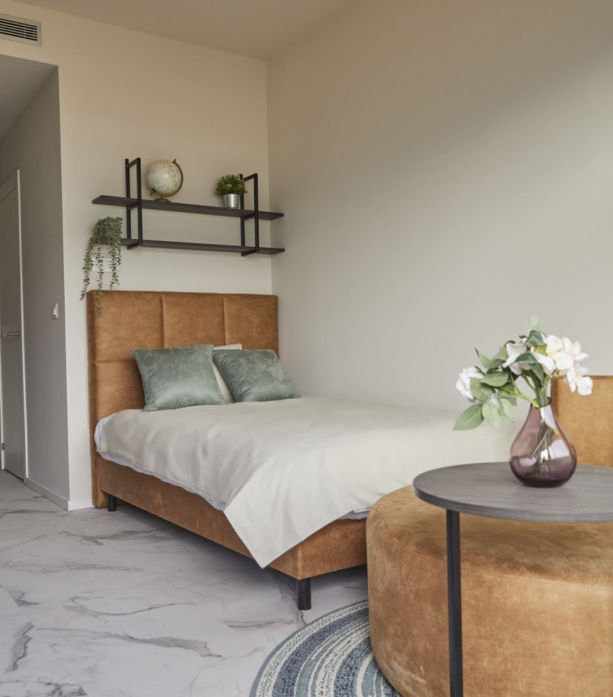 Estudio privado en Madrid